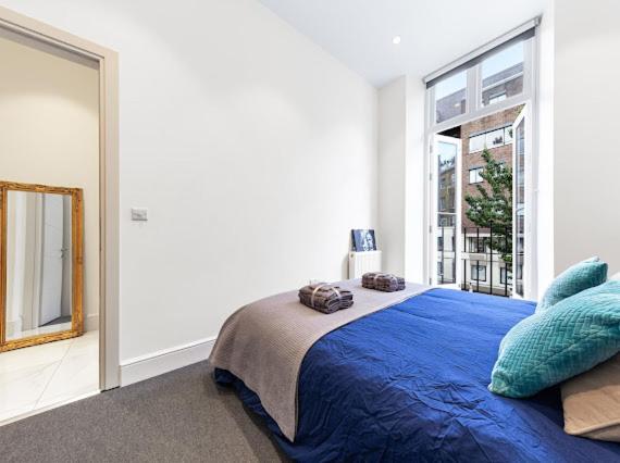 Harley Street Luxury Snug Apartment London Exterior photo