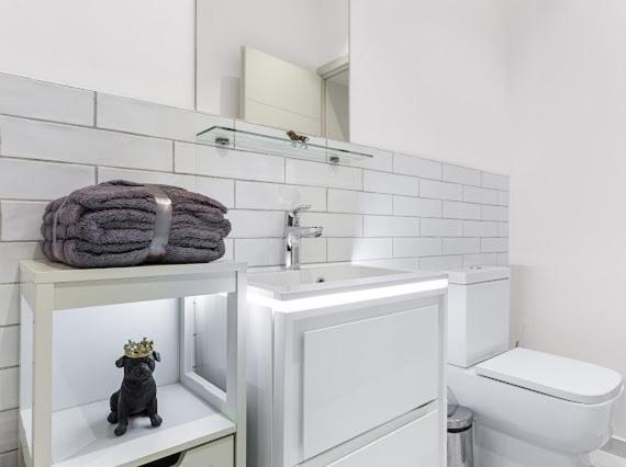 Harley Street Luxury Snug Apartment London Exterior photo